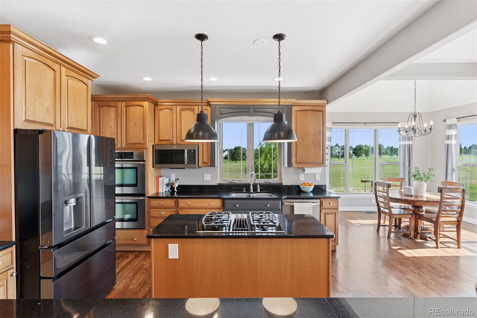MLS Image #14 for 3048  deer creek ranch loop,parker, Colorado