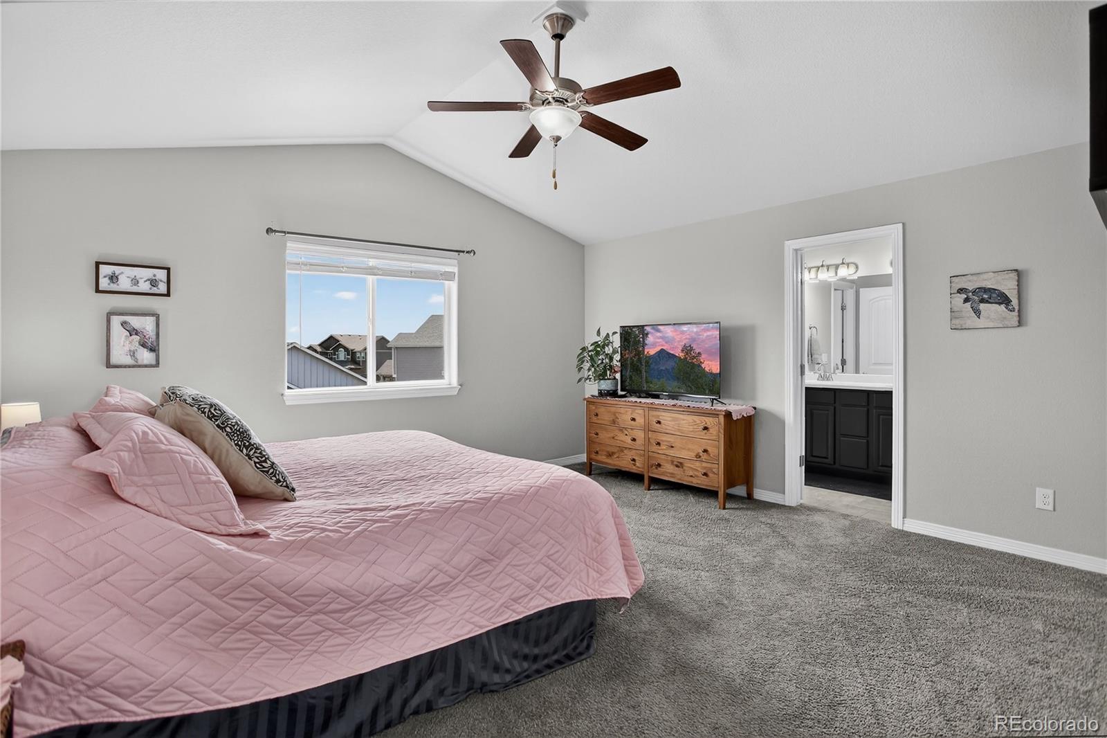 MLS Image #10 for 12717  windingwalk drive,peyton, Colorado