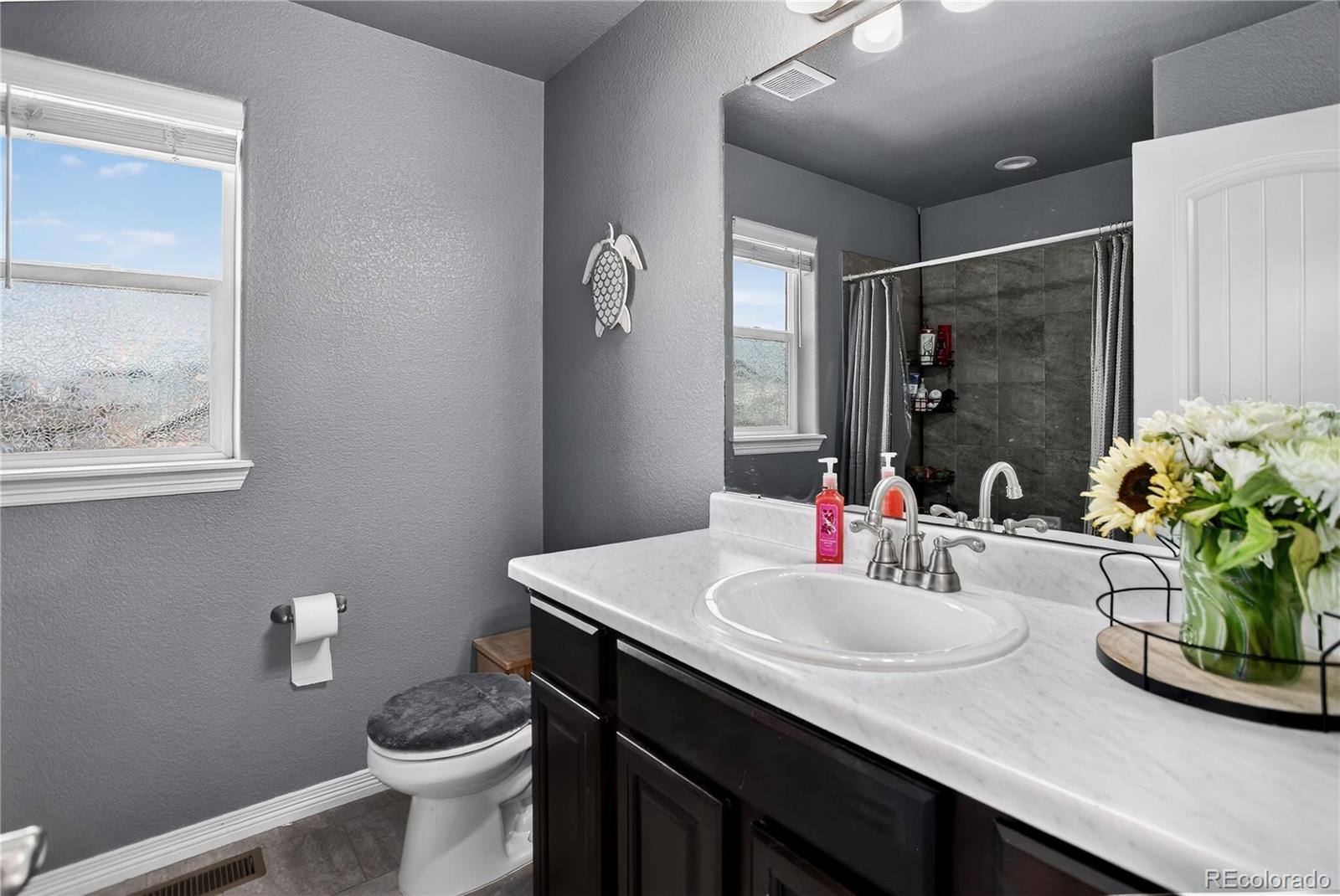 MLS Image #16 for 12717  windingwalk drive,peyton, Colorado