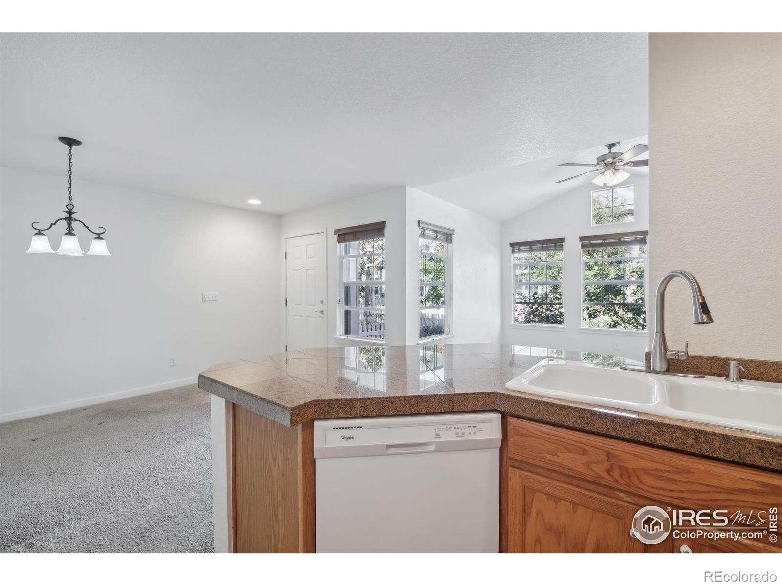 MLS Image #10 for 729  snowberry street,longmont, Colorado