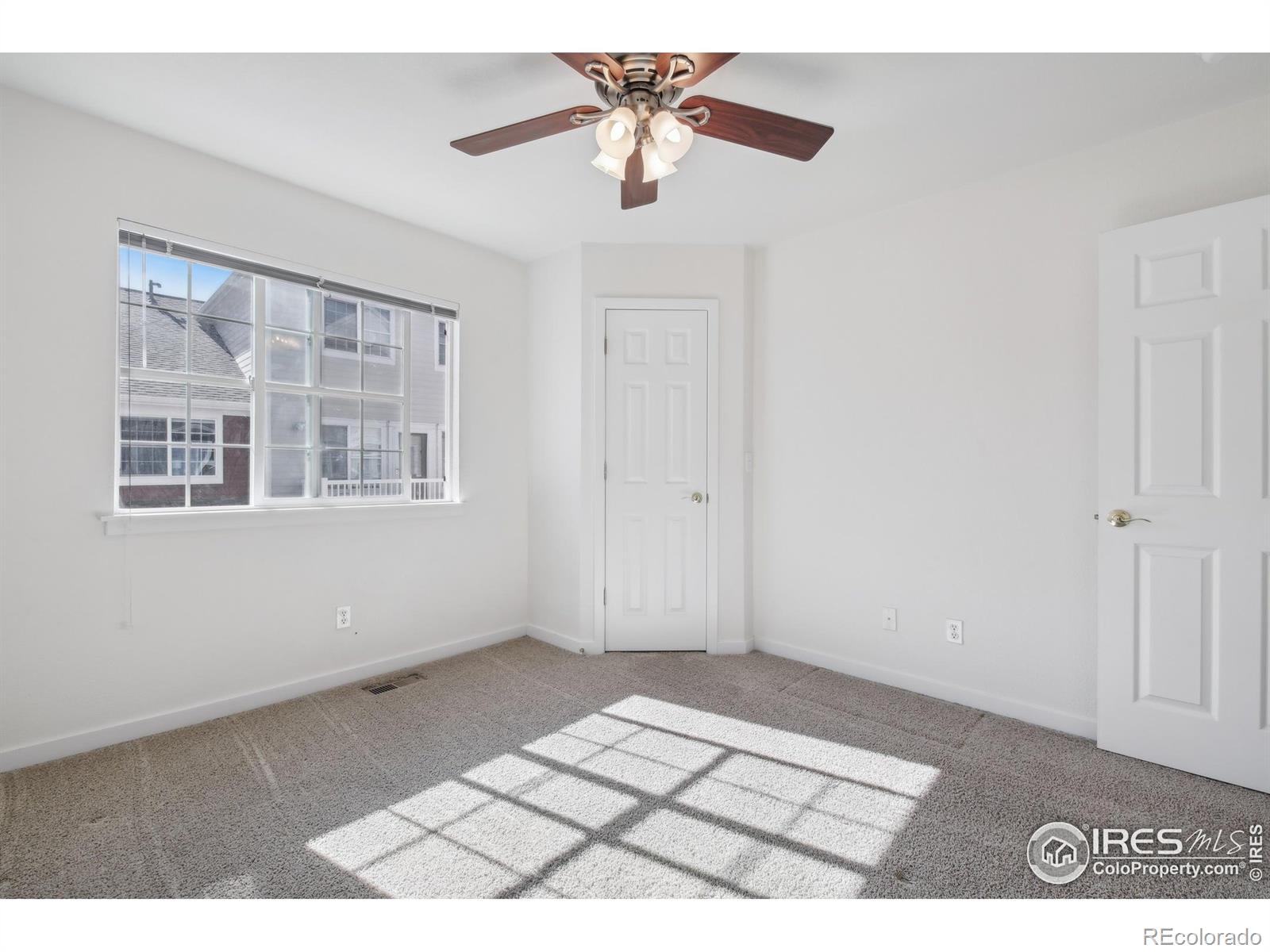 MLS Image #14 for 729  snowberry street,longmont, Colorado