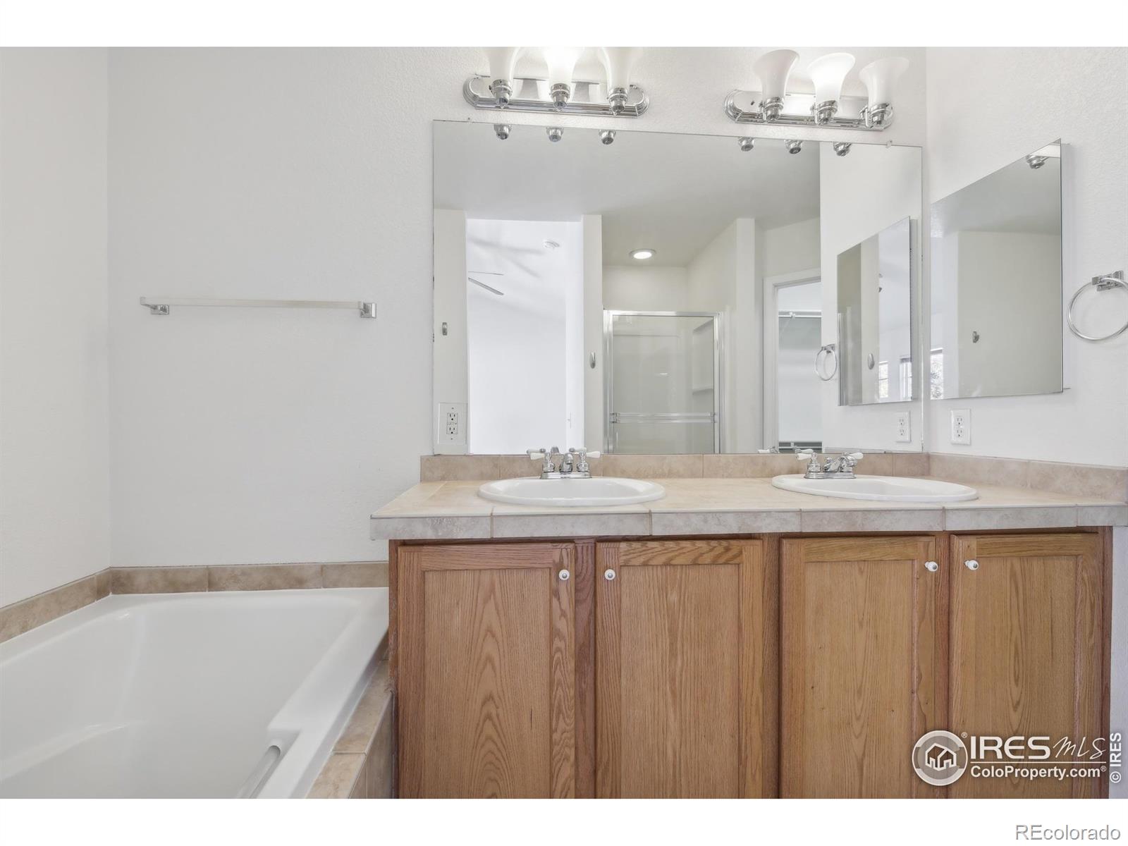 MLS Image #18 for 729  snowberry street,longmont, Colorado