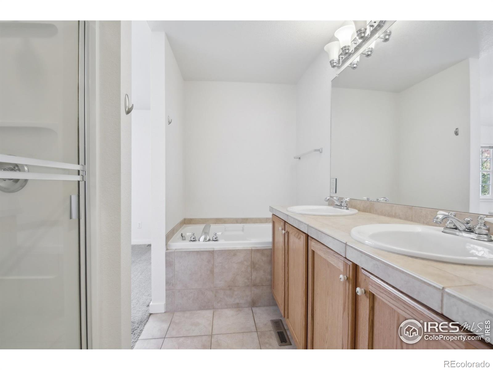 MLS Image #19 for 729  snowberry street,longmont, Colorado