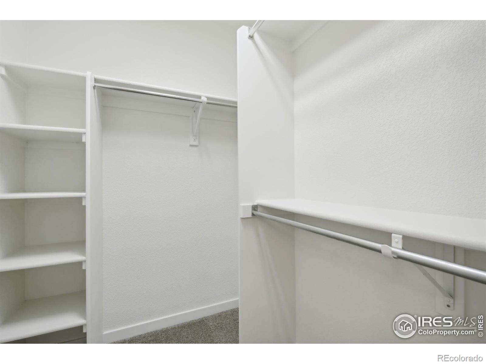 MLS Image #20 for 729  snowberry street,longmont, Colorado