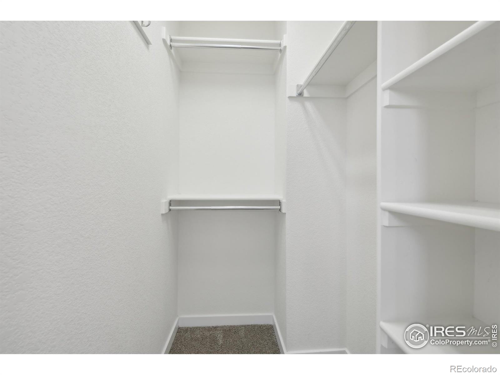 MLS Image #21 for 729  snowberry street,longmont, Colorado