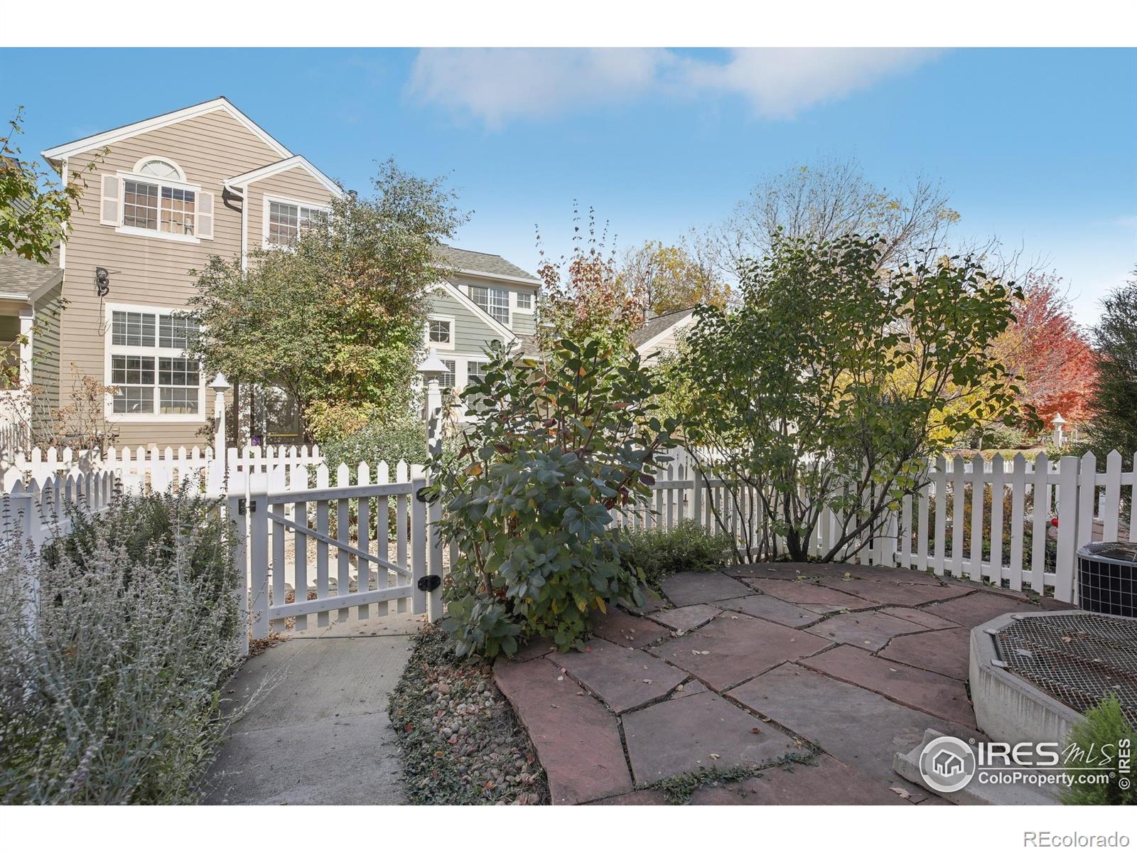 MLS Image #26 for 729  snowberry street,longmont, Colorado