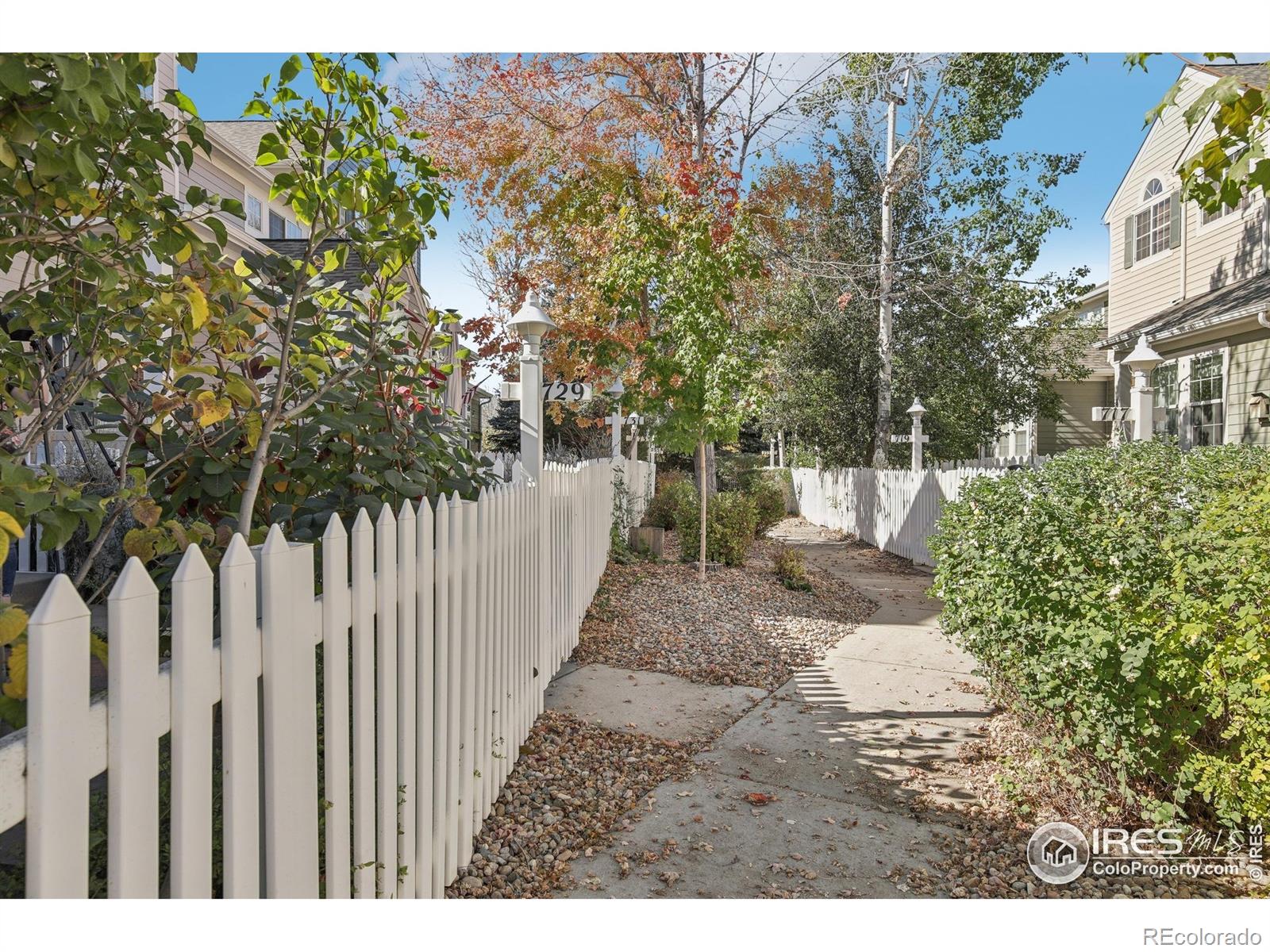 MLS Image #27 for 729  snowberry street,longmont, Colorado
