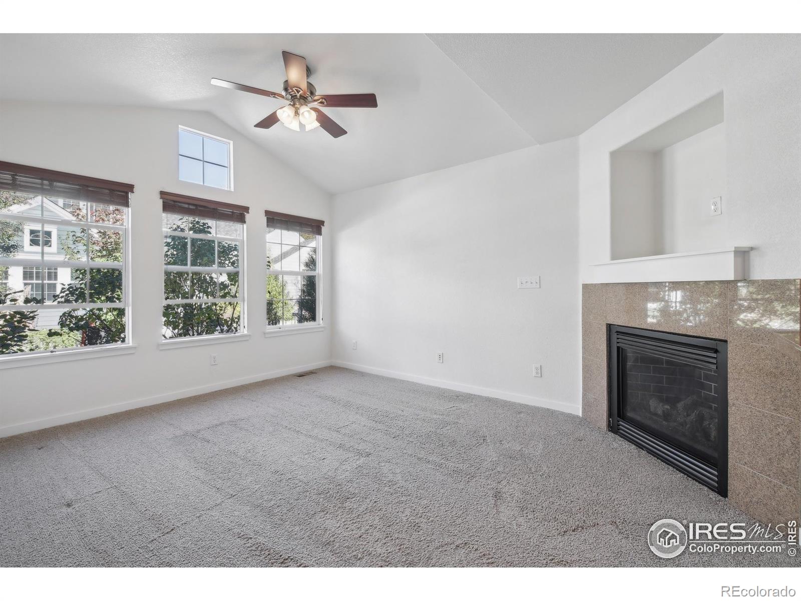 MLS Image #7 for 729  snowberry street,longmont, Colorado