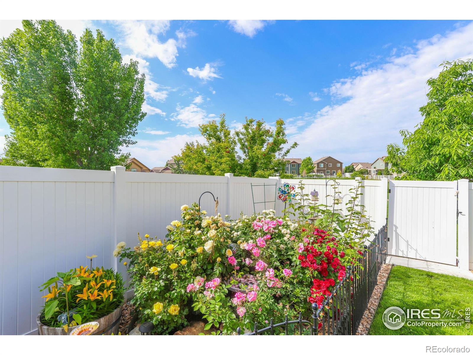 MLS Image #34 for 2944  hydra drive,loveland, Colorado