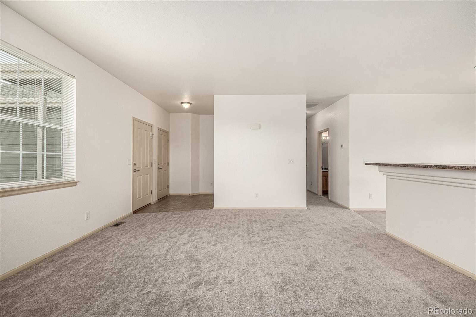 MLS Image #6 for 268  naples street,firestone, Colorado