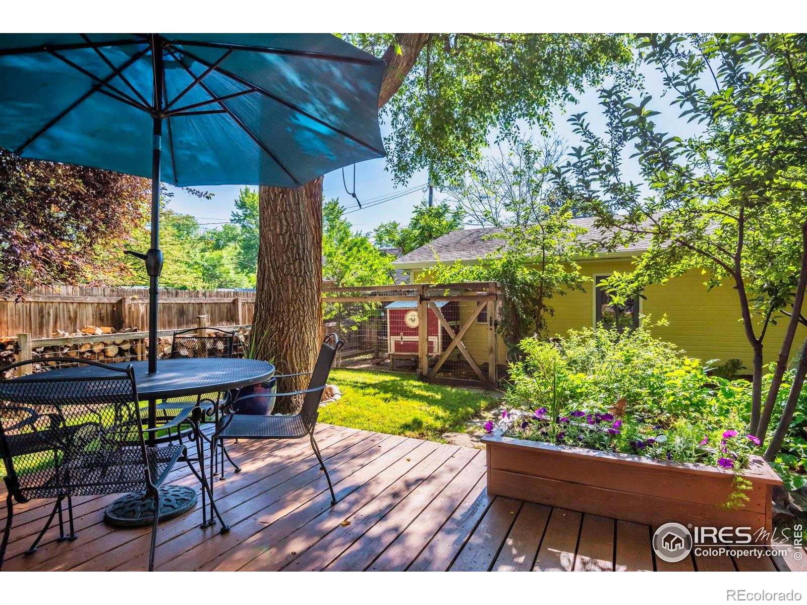 MLS Image #28 for 310  judson street,longmont, Colorado
