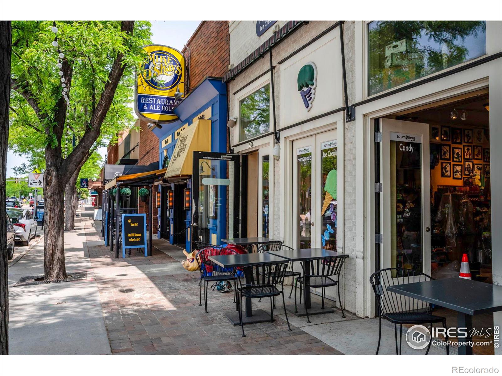 MLS Image #38 for 310  judson street,longmont, Colorado