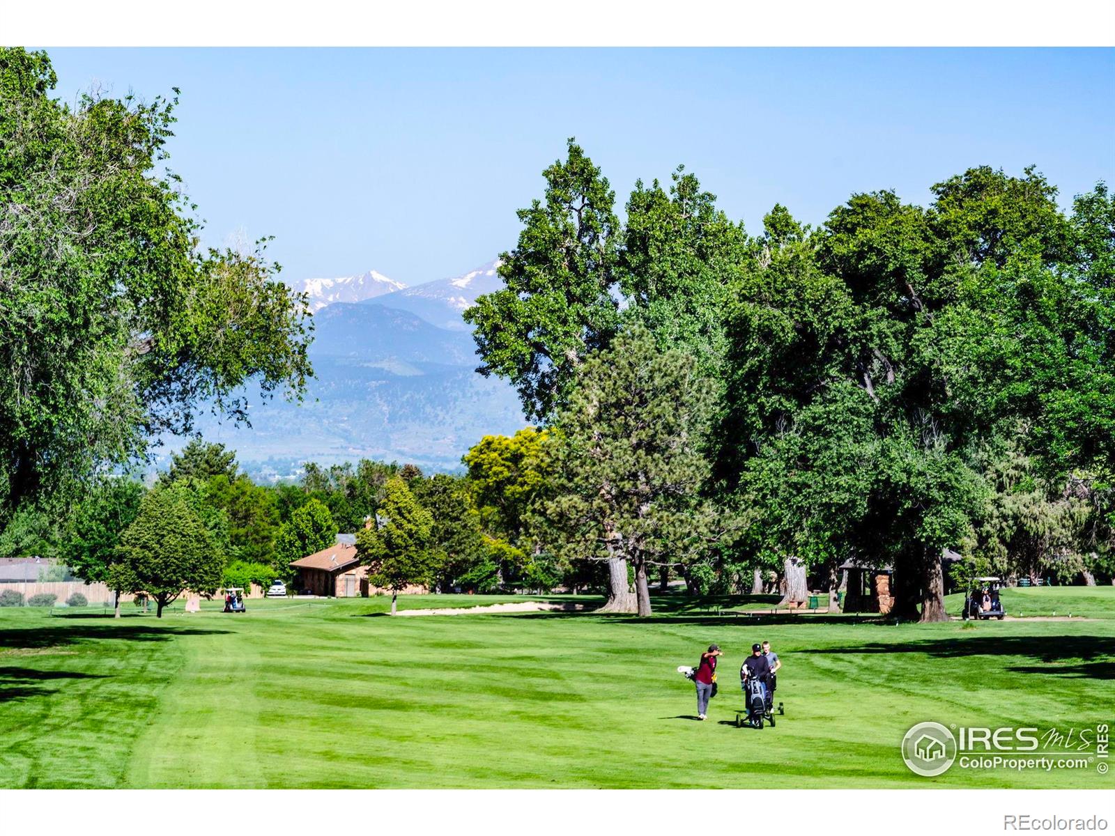 MLS Image #39 for 310  judson street,longmont, Colorado