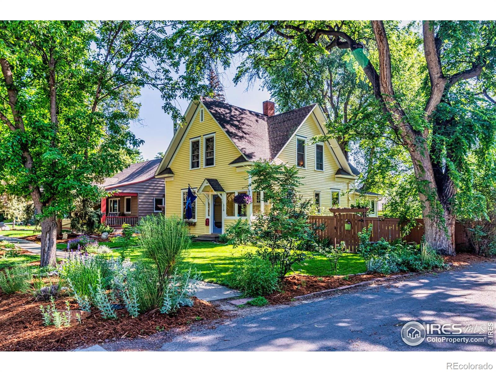 MLS Image #4 for 310  judson street,longmont, Colorado