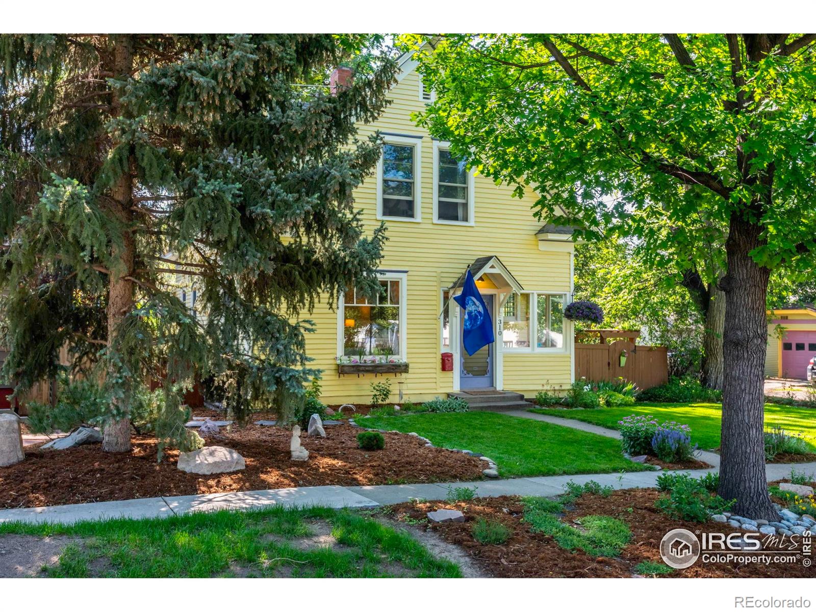 MLS Image #5 for 310  judson street,longmont, Colorado