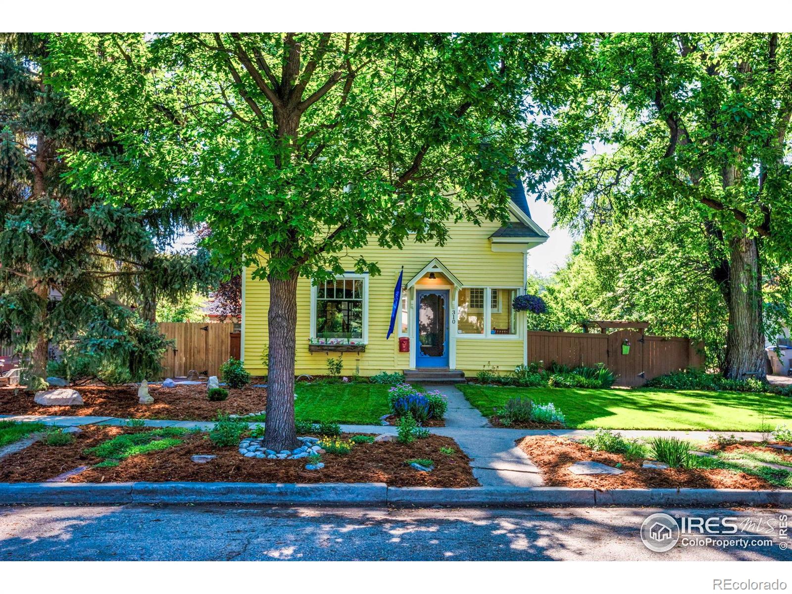 MLS Image #6 for 310  judson street,longmont, Colorado
