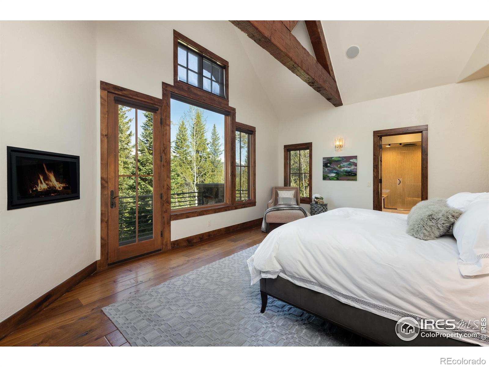 MLS Image #11 for 41  stillson placer terrace,breckenridge, Colorado