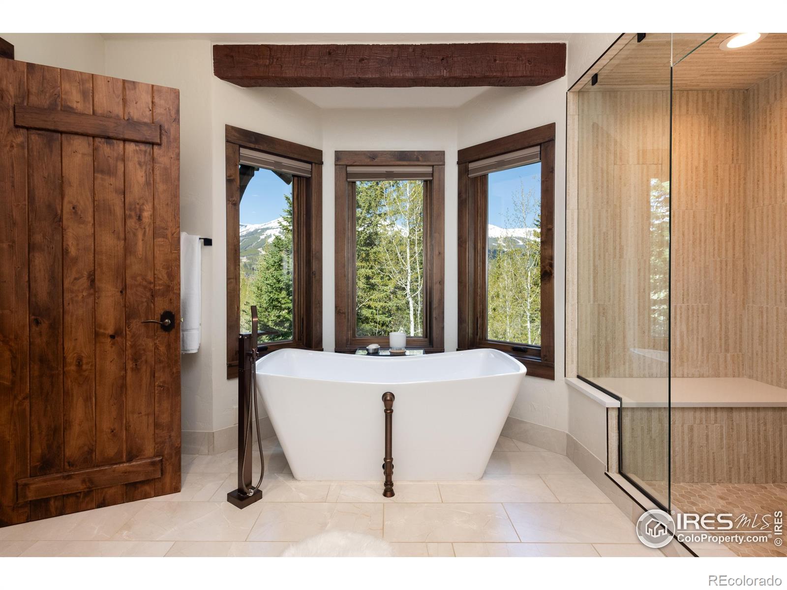 MLS Image #13 for 41  stillson placer terrace,breckenridge, Colorado