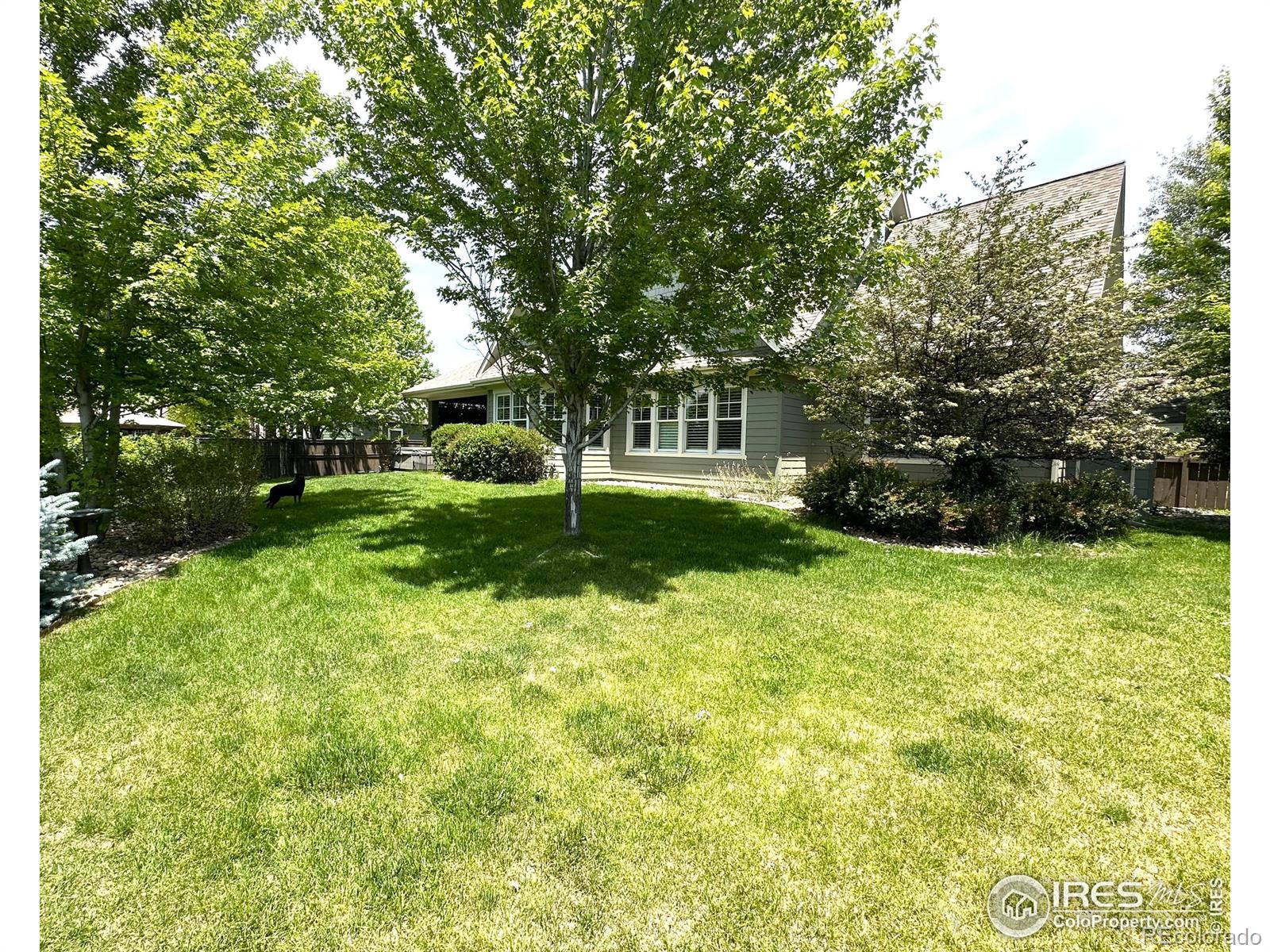 MLS Image #28 for 3861  poudre drive,loveland, Colorado