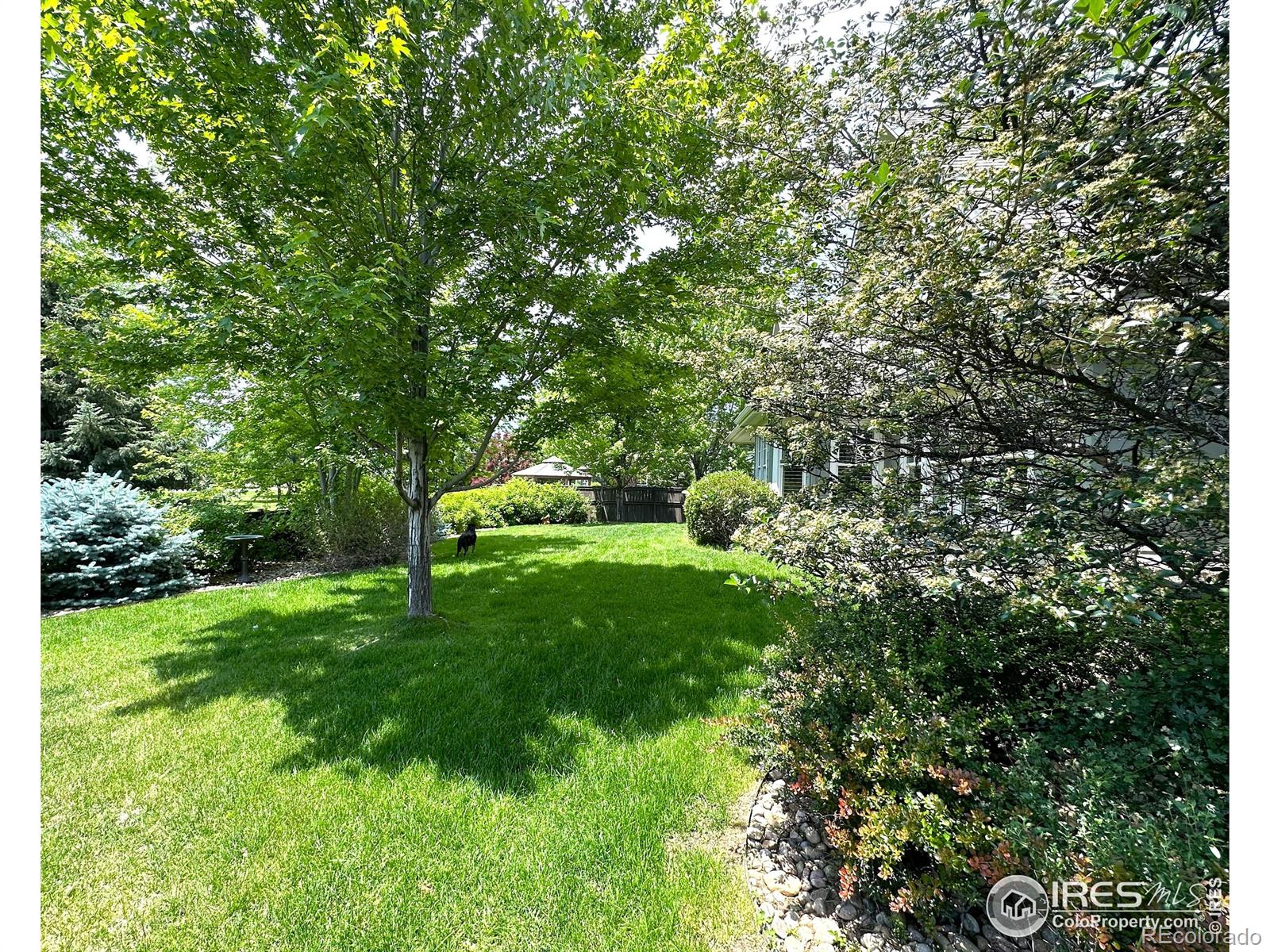 MLS Image #30 for 3861  poudre drive,loveland, Colorado