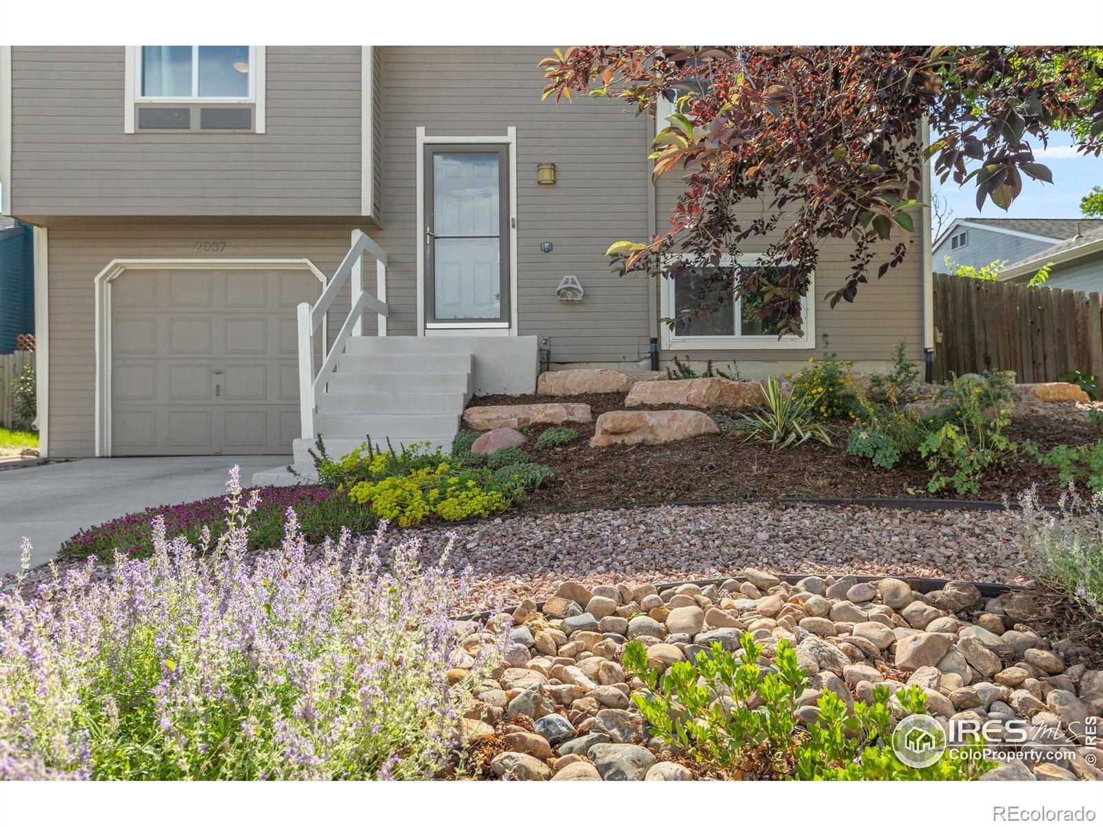 MLS Image #34 for 2037  spencer street,longmont, Colorado