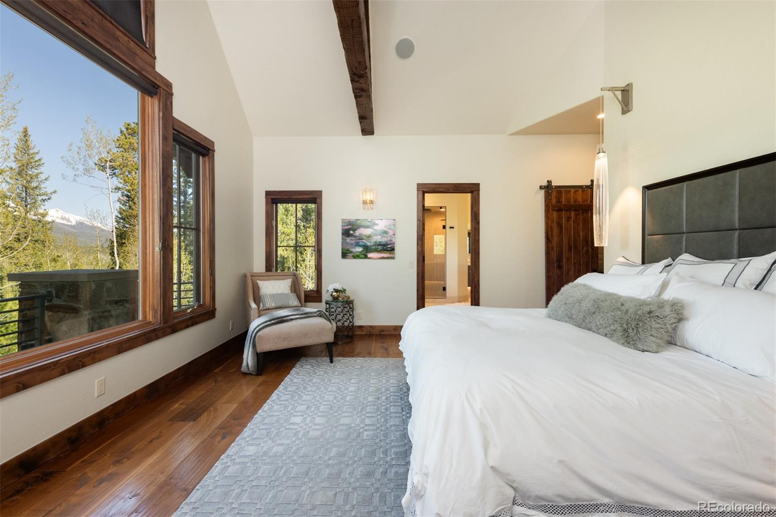 MLS Image #21 for 41  stillson placer terrace,breckenridge, Colorado