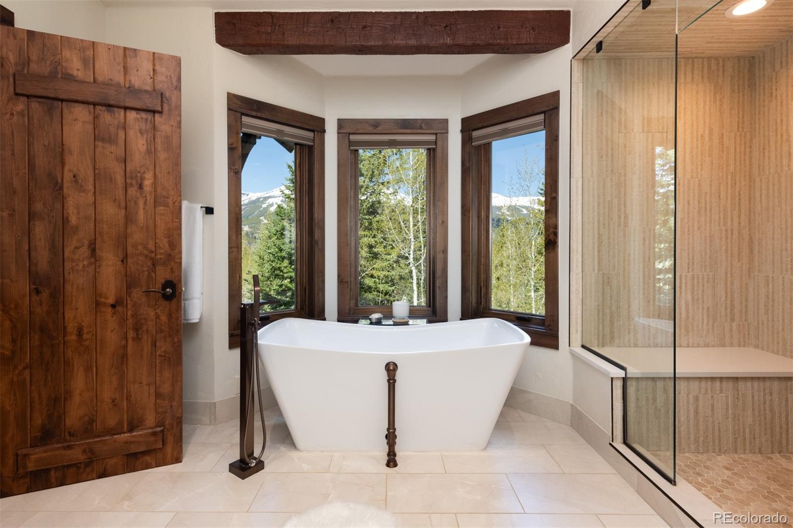 MLS Image #25 for 41  stillson placer terrace,breckenridge, Colorado
