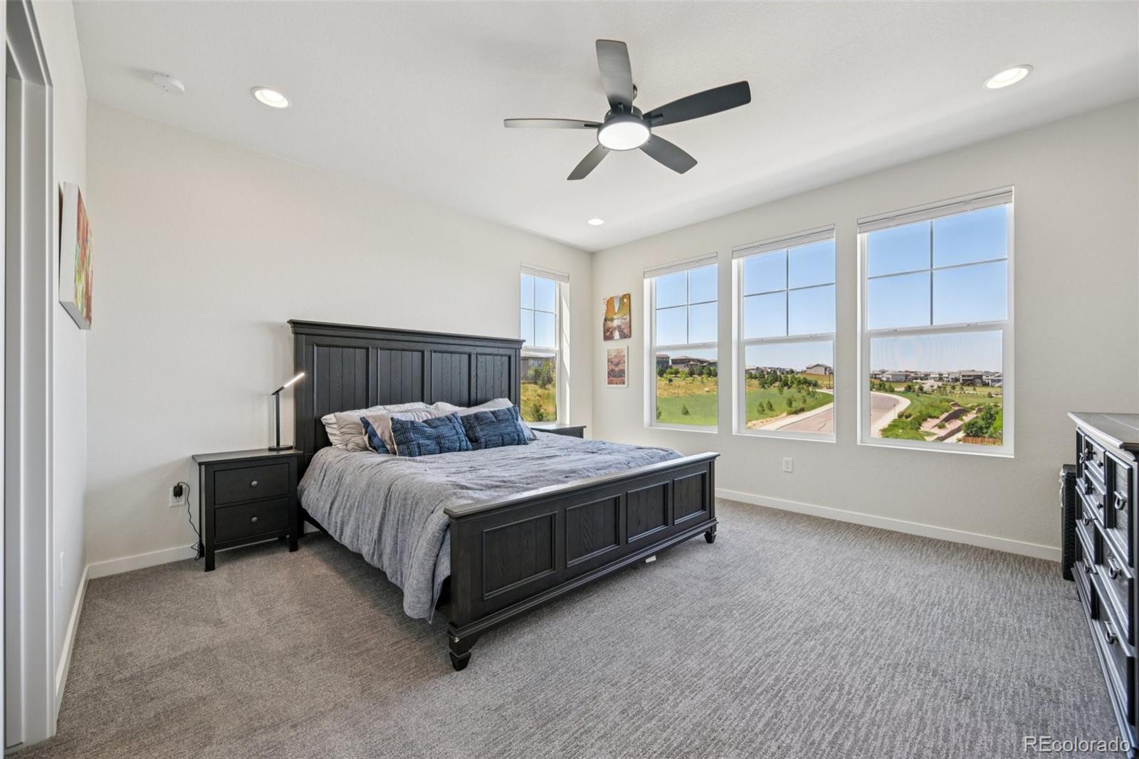 MLS Image #11 for 14952  gladshine drive,parker, Colorado