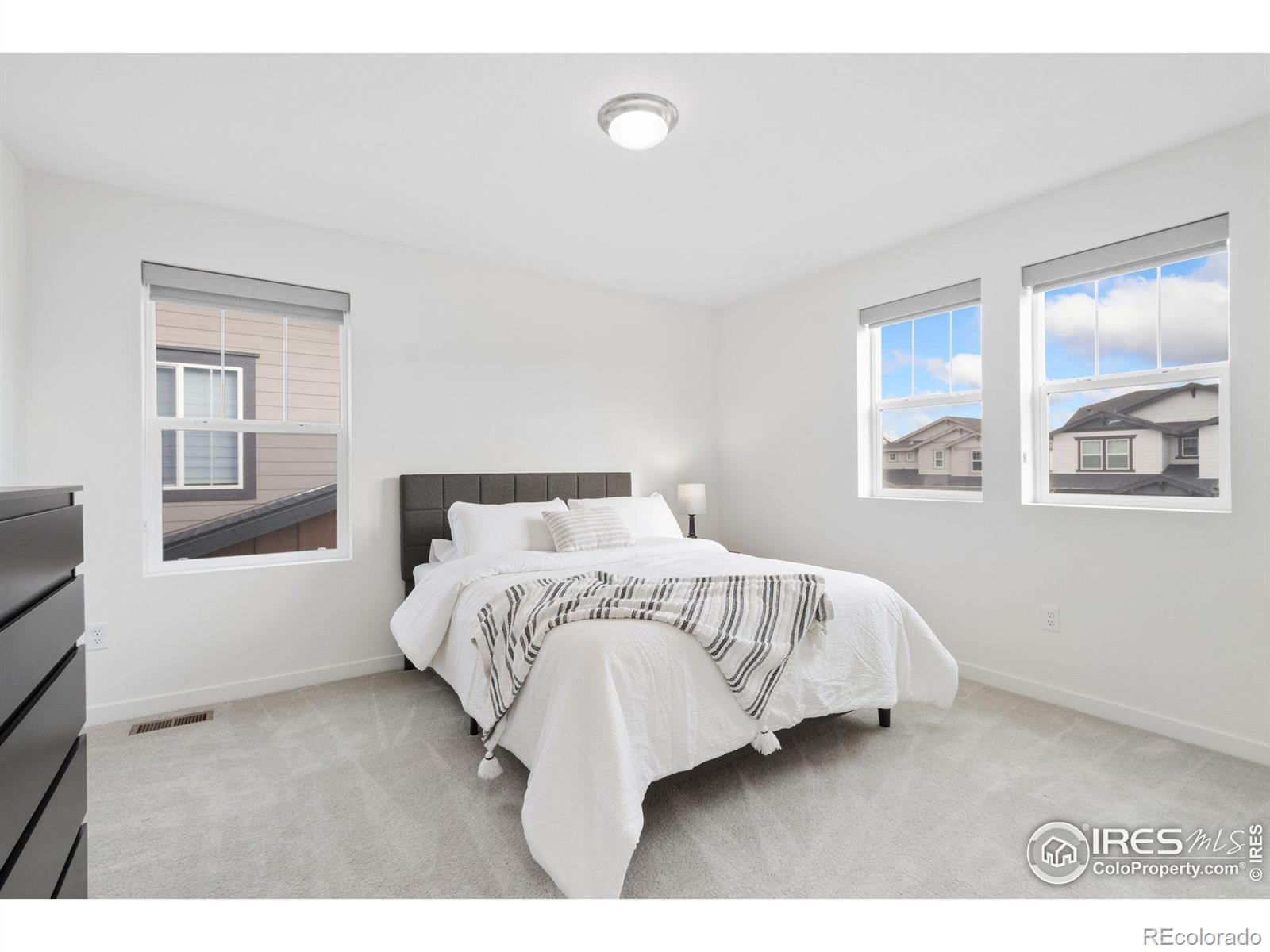 MLS Image #29 for 5578  fleur de lis lane,timnath, Colorado