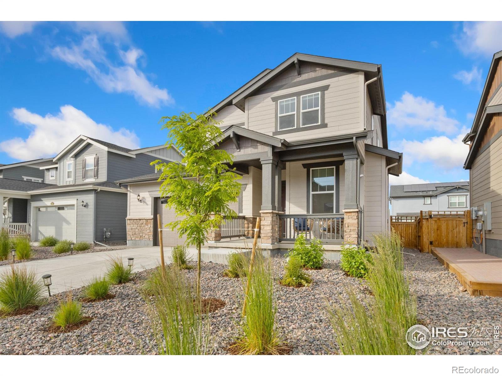 MLS Image #3 for 5578  fleur de lis lane,timnath, Colorado