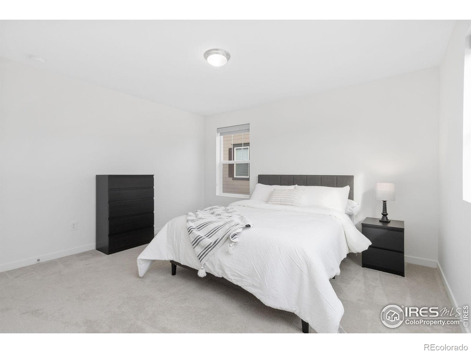 MLS Image #30 for 5578  fleur de lis lane,timnath, Colorado