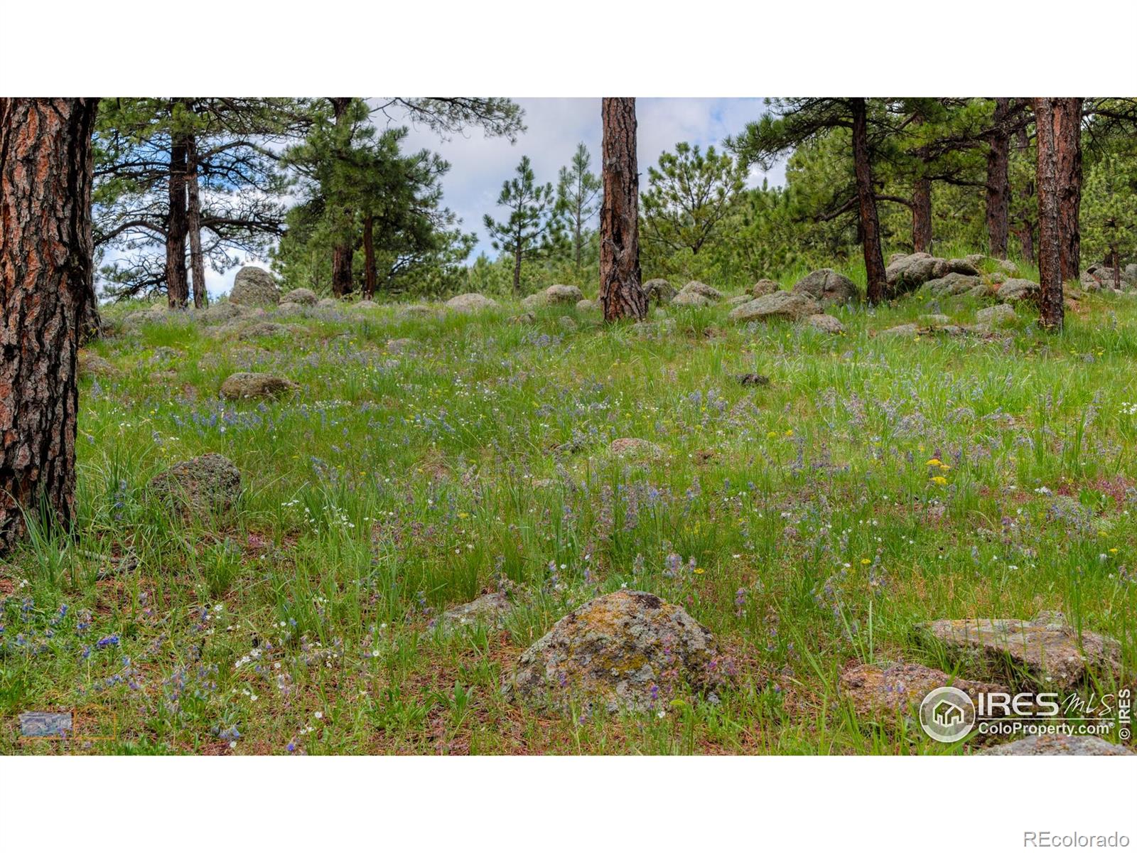 MLS Image #24 for 2794  linden drive,boulder, Colorado