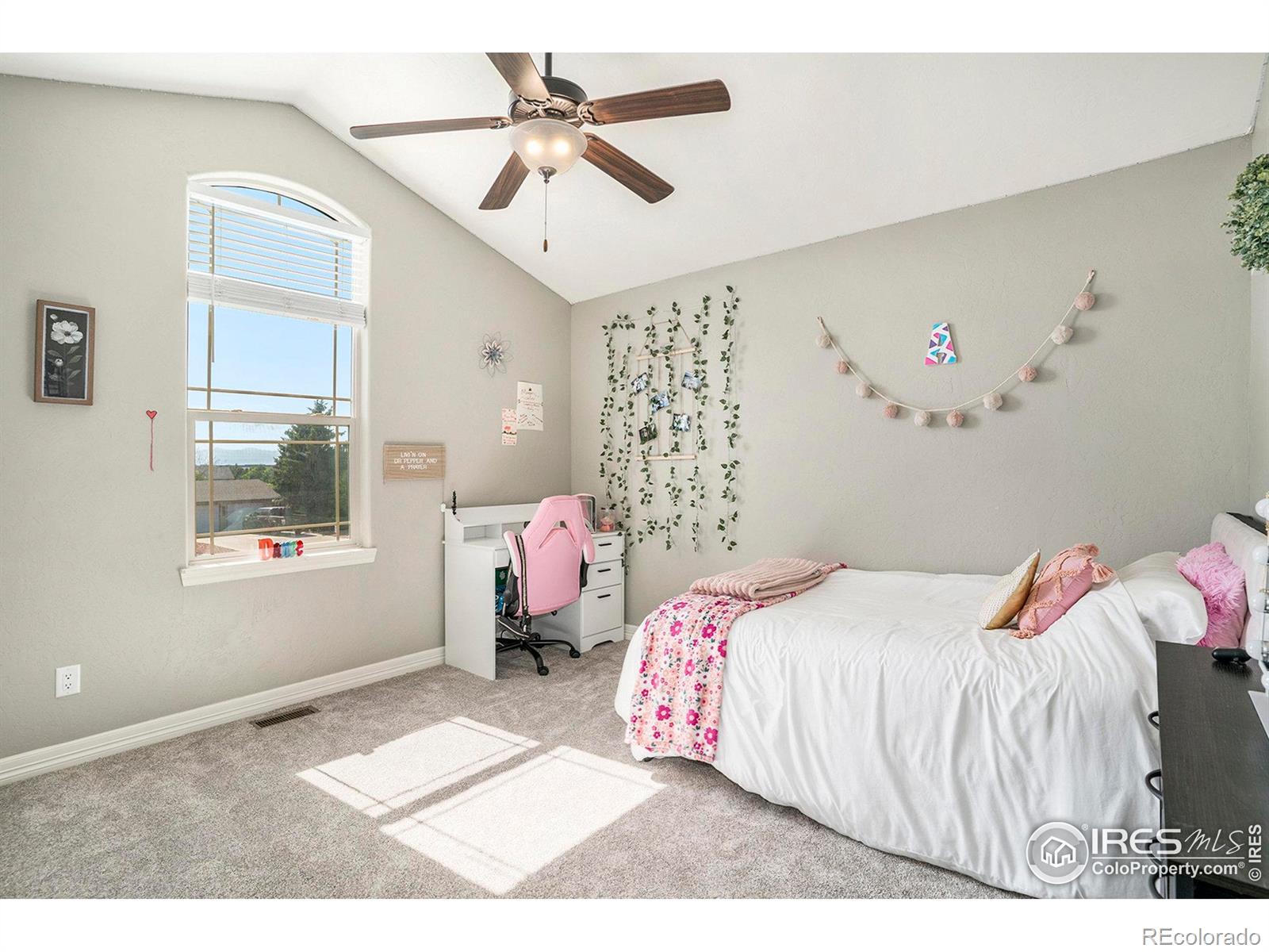 MLS Image #20 for 4379  lemon grass drive,johnstown, Colorado