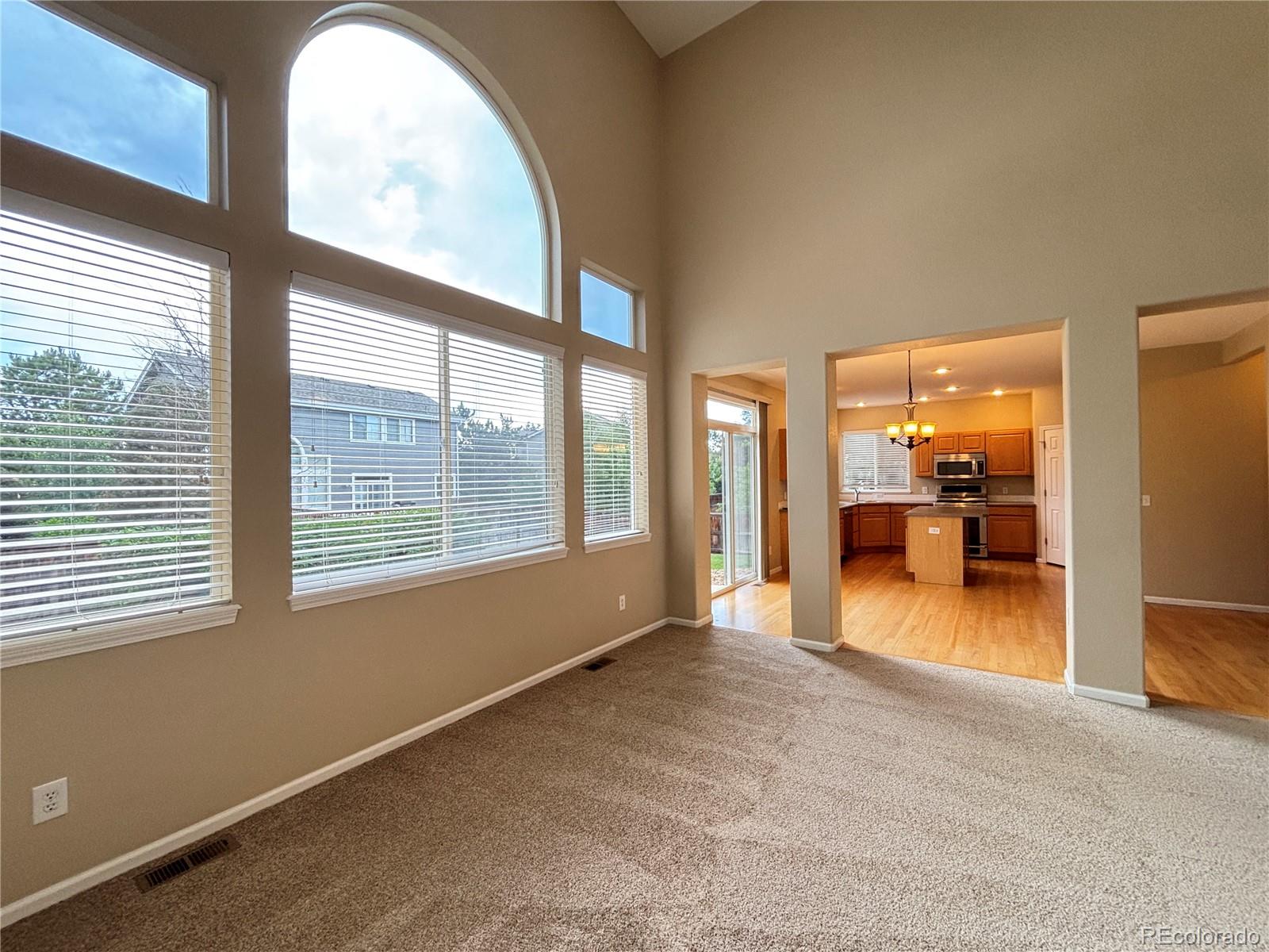 MLS Image #4 for 10027  sylvestor road,highlands ranch, Colorado