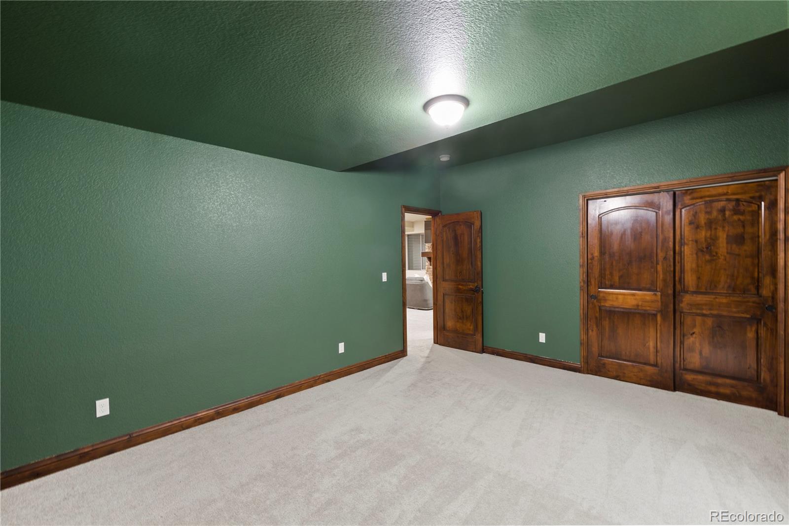 MLS Image #38 for 16104  pole pine point,colorado springs, Colorado