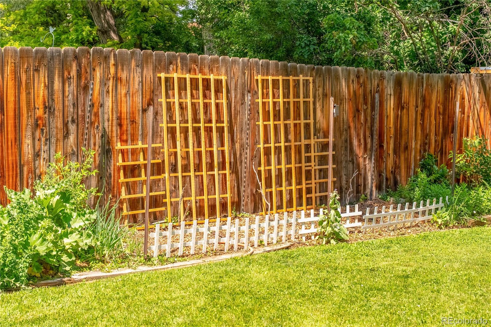 MLS Image #48 for 1410 s ammons street,lakewood, Colorado