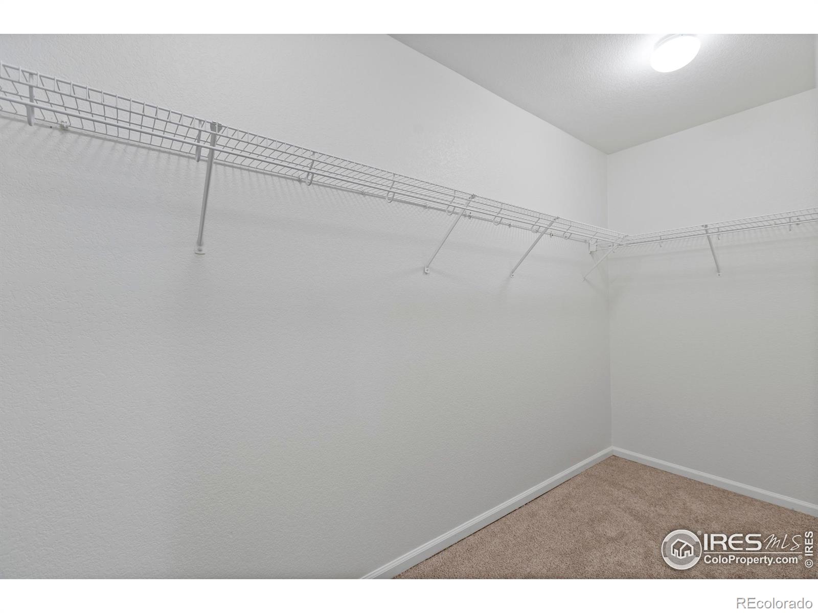 MLS Image #20 for 6809  brittany drive,fort collins, Colorado