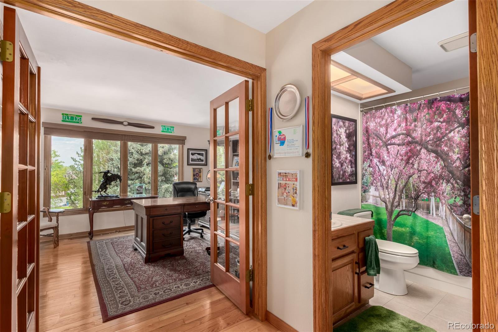 MLS Image #20 for 10227  osceola court,westminster, Colorado