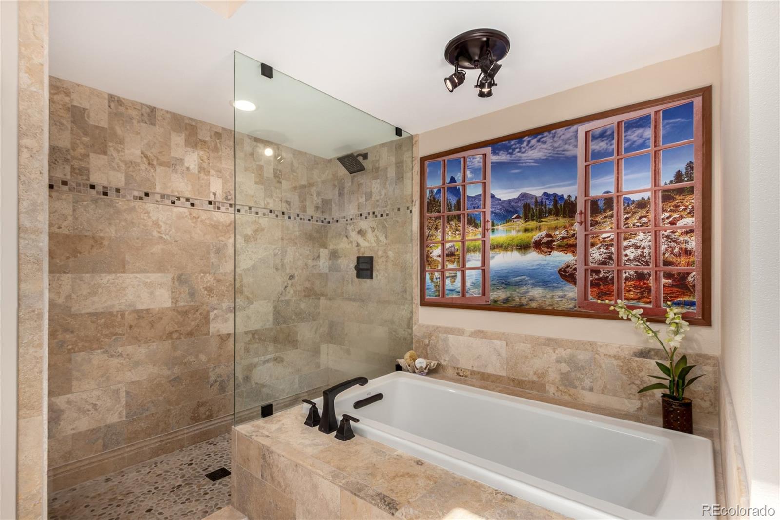 MLS Image #26 for 10227  osceola court,westminster, Colorado