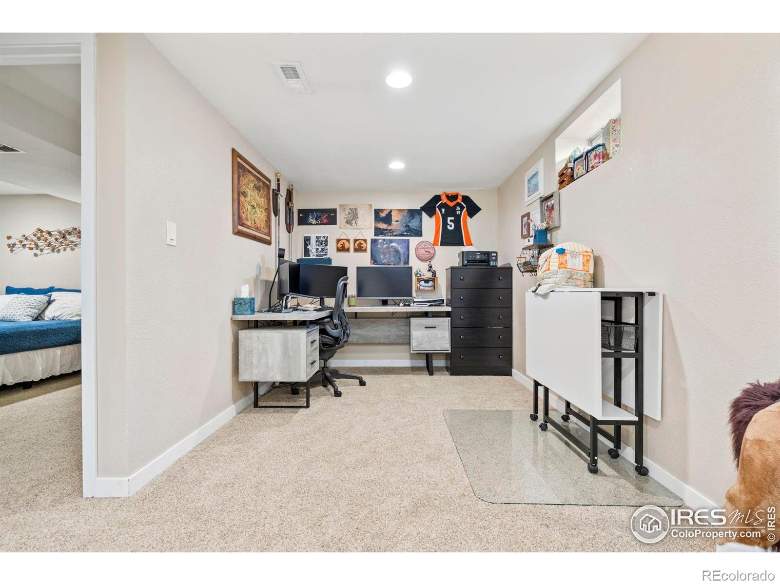 MLS Image #16 for 7423  saulsbury street,arvada, Colorado