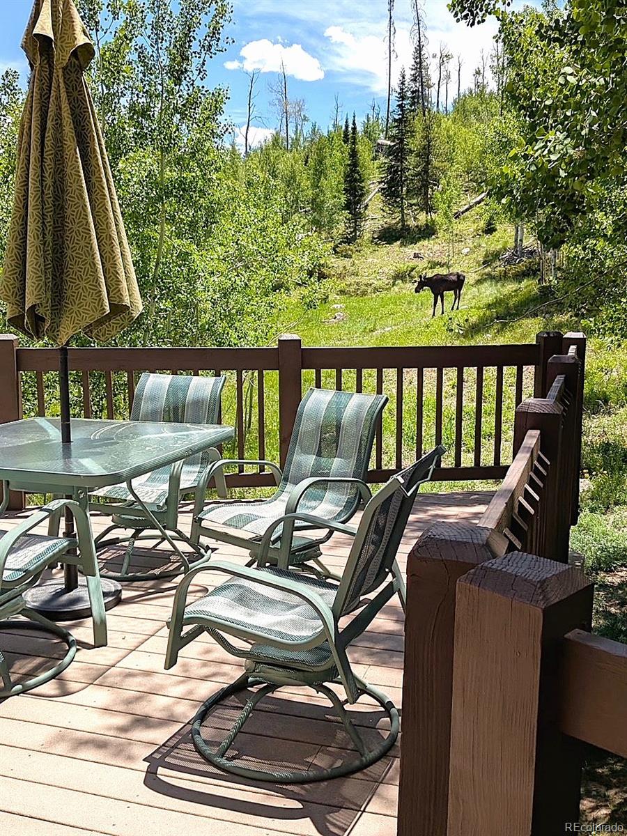 MLS Image #28 for 1516  blue ridge road,silverthorne, Colorado