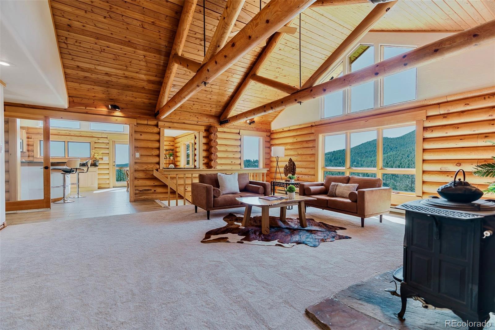 MLS Image #0 for 12135  cochise circle,conifer, Colorado