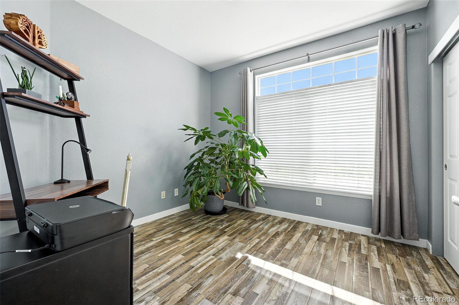 MLS Image #19 for 474  black feather loop,castle rock, Colorado