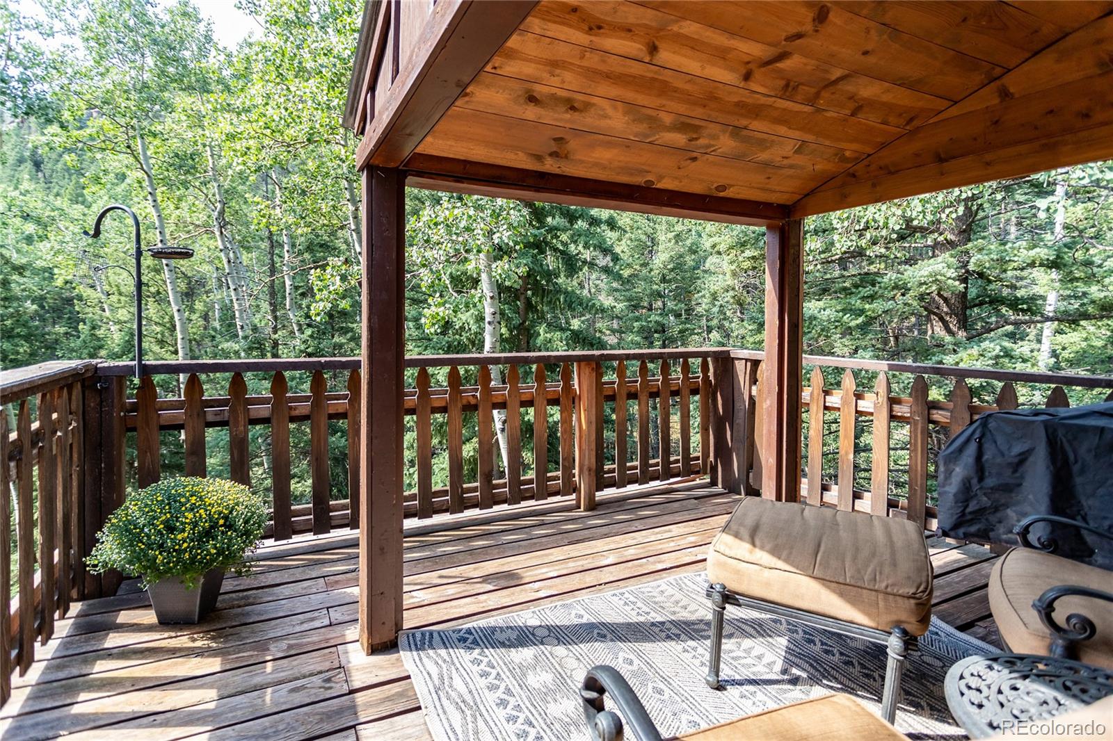 MLS Image #3 for 6250  coffee pot road,manitou springs, Colorado