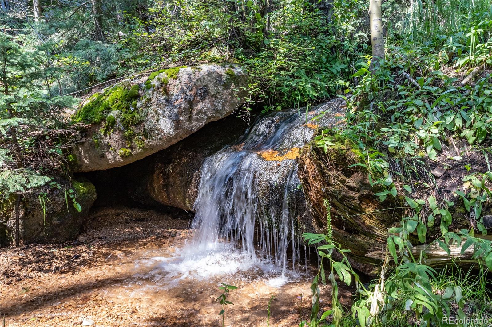 MLS Image #43 for 6250  coffee pot road,manitou springs, Colorado