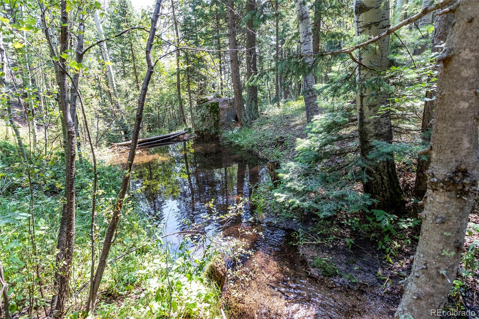 MLS Image #44 for 6250  coffee pot road,manitou springs, Colorado