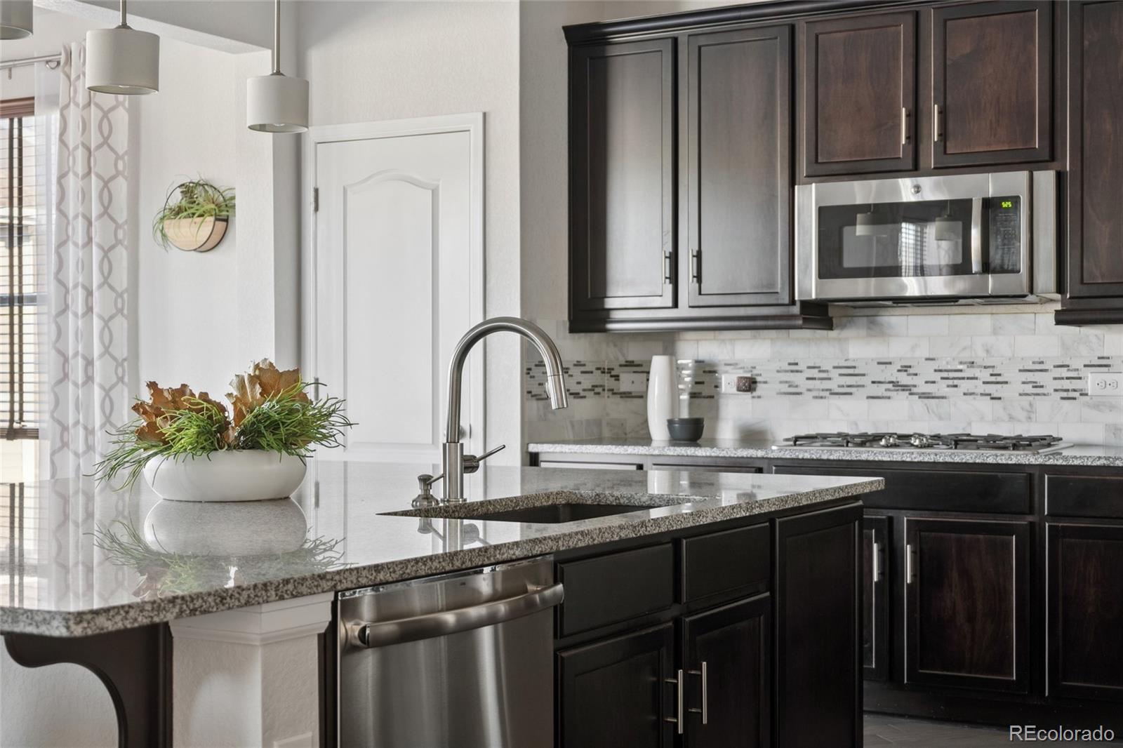 MLS Image #16 for 2668  scoter lane,castle rock, Colorado
