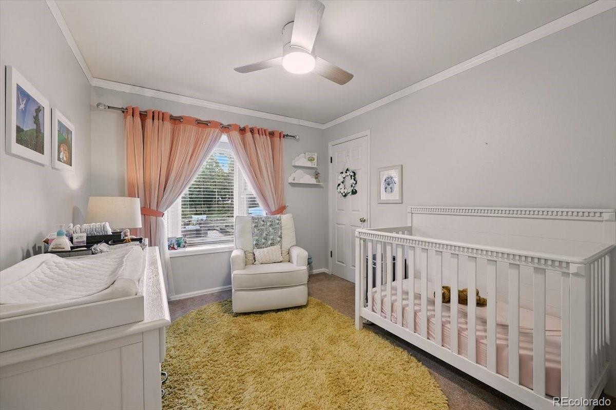 MLS Image #8 for 78  raven hills court,colorado springs, Colorado