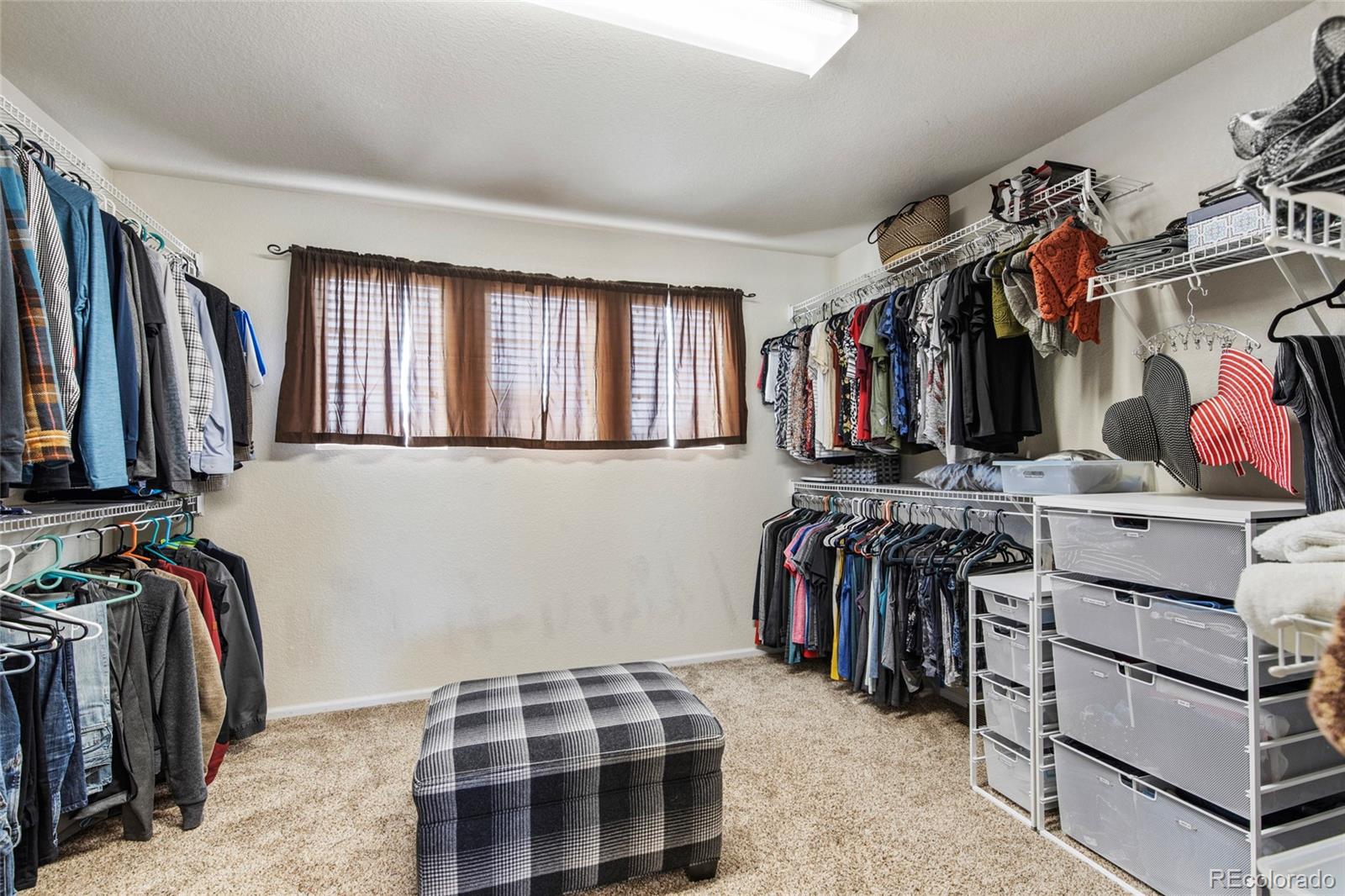 MLS Image #19 for 10533  redcone way,highlands ranch, Colorado