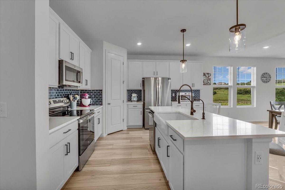 MLS Image #11 for 4418  soapberry place,castle rock, Colorado